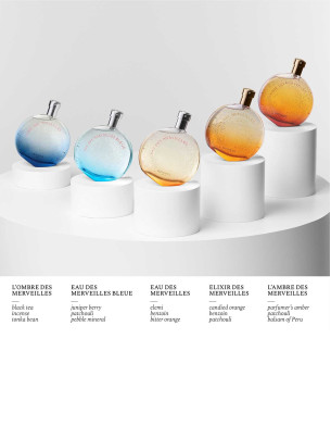 L'Ombre des Merveilles Edp